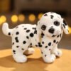 Dalmatian