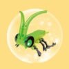 KY029 Grasshopper