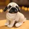 Pug